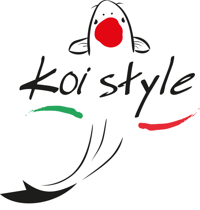 logo koistyle