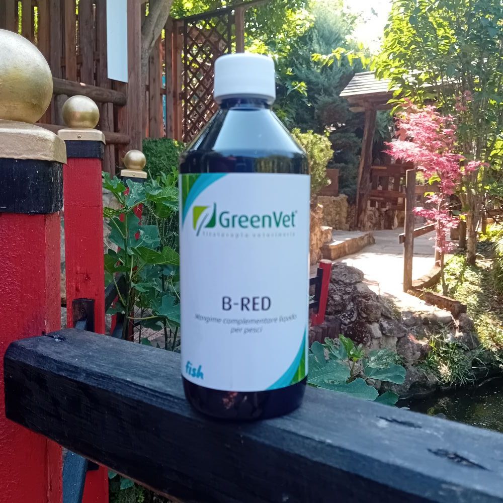 GREENVET BRED 0,500LT