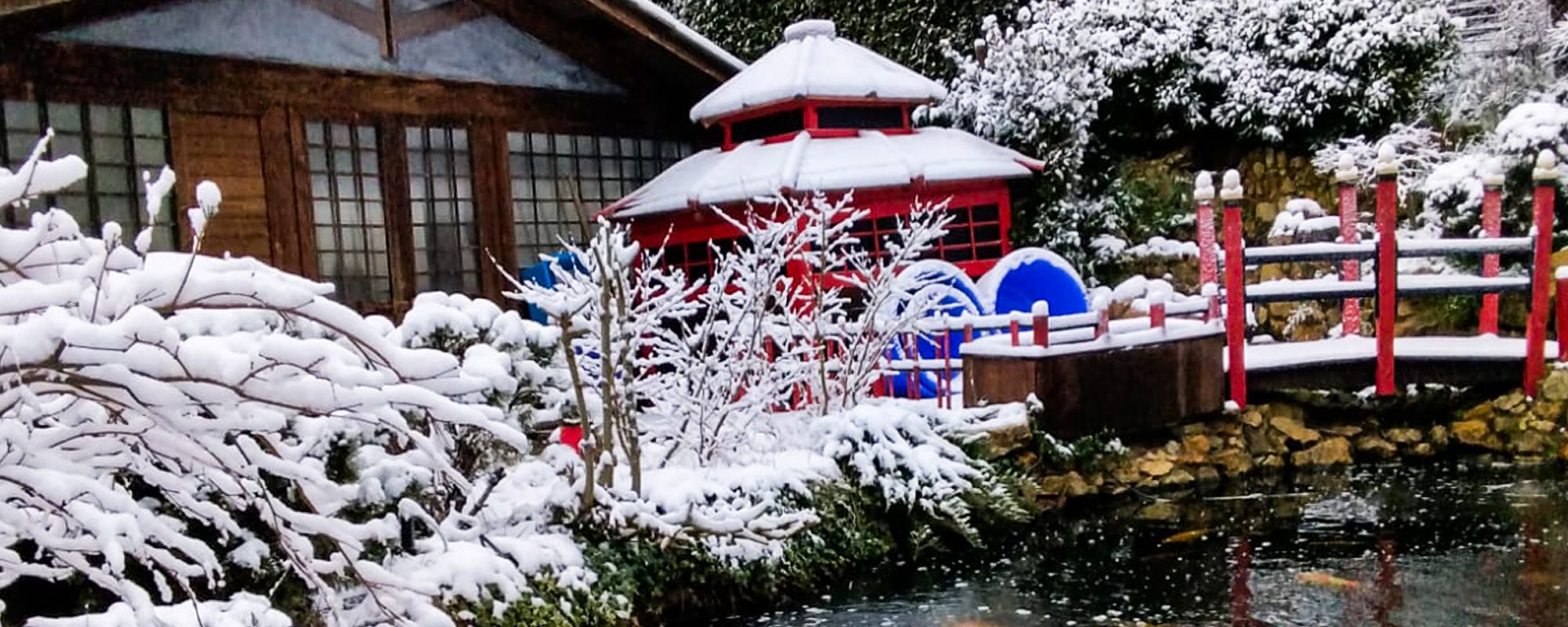 giardinoi giapponese innevato