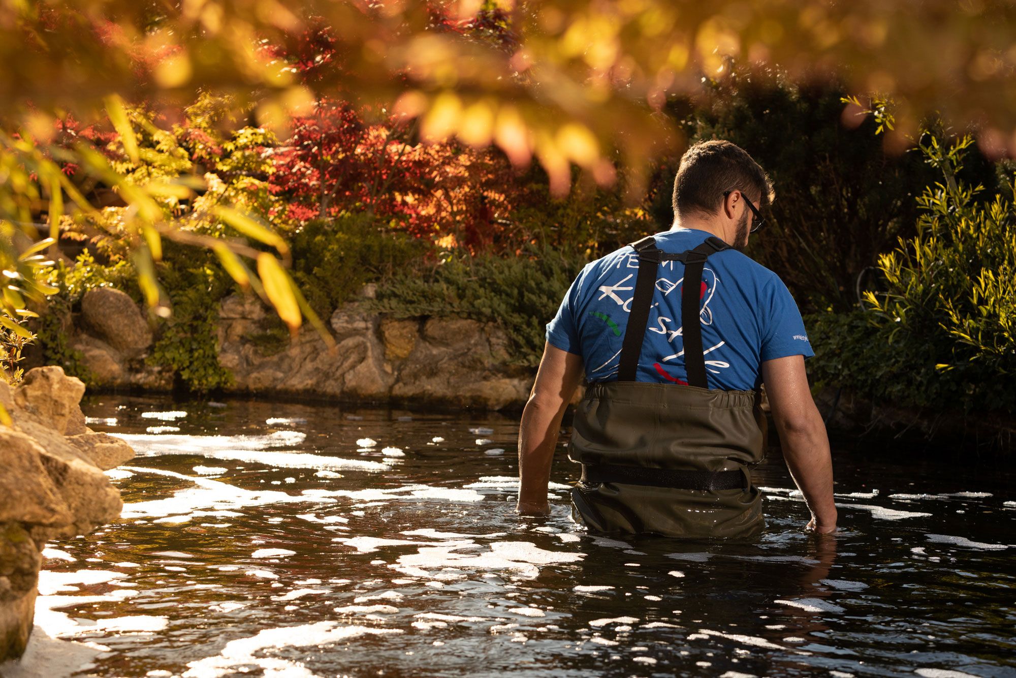 Uomo in acqua per il controllo delle koi