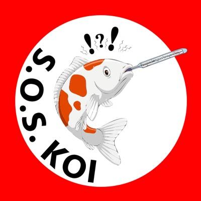 sos koi